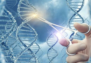 贺建奎最新回应 坚信伦理与生物技术开发终将同行