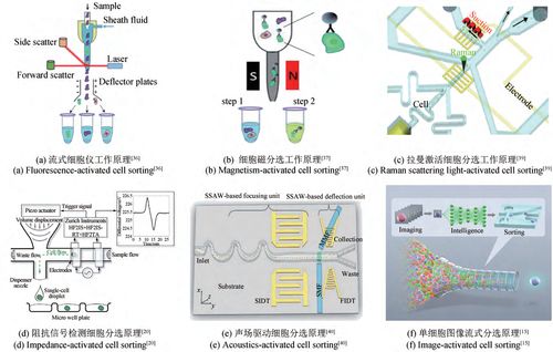 合成生物学 生物制造引领制造业的未来
