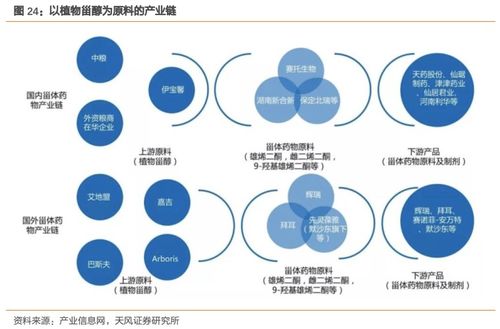 溢多利 专注研发创新的生物技术隐形冠军，替抗业务迎来高增长