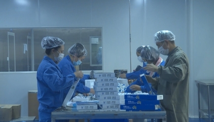 绵阳梓潼 生物医药企业开足马力保生产 技术研发驱动防疫物资供应