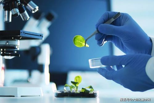 留学马来西亚 生物技术与生物技术开发，如何区分这对“双胞胎”专业？