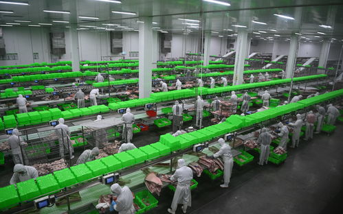 内乡牧原食品城正式投入运行 一期投资5亿元，年屠宰加工200万头生猪，推动生物技术开发